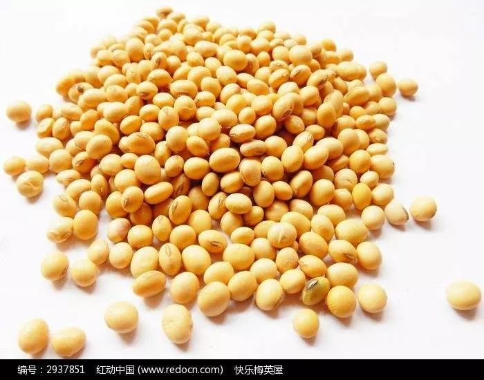 阿荣旗大豆最新价格动态解析