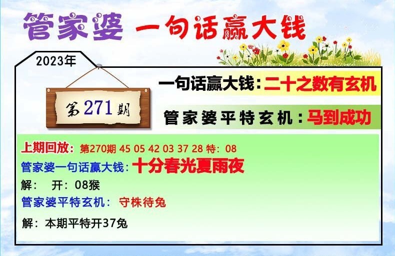 2020管家婆一肖一码,快速解答执行方案_N版93.294