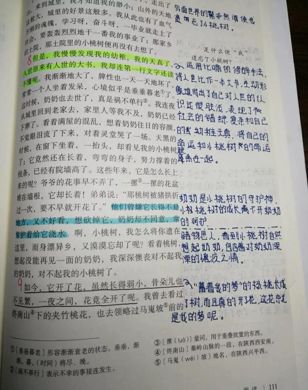 七年级下册语文最新版教材深度解析